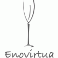 Enovirtua_120_x_120-3